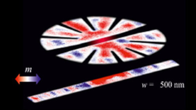 Two magnetic contrast maps. The cobalt rod is located in the centre of the microflower.